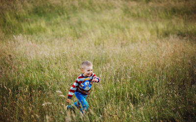 Exciting Updates on Our Exeter Home Renovation